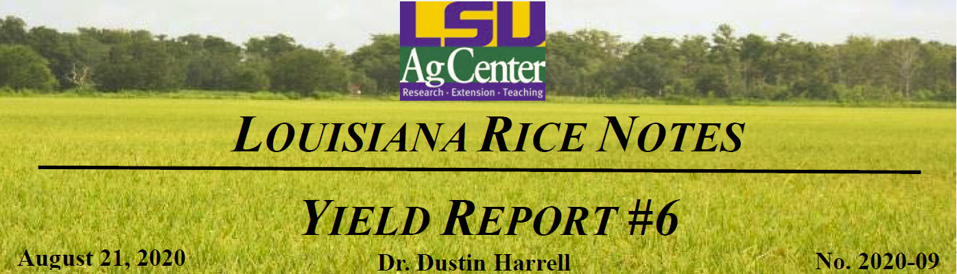 2020 Louisiana Rice Field Notes #9